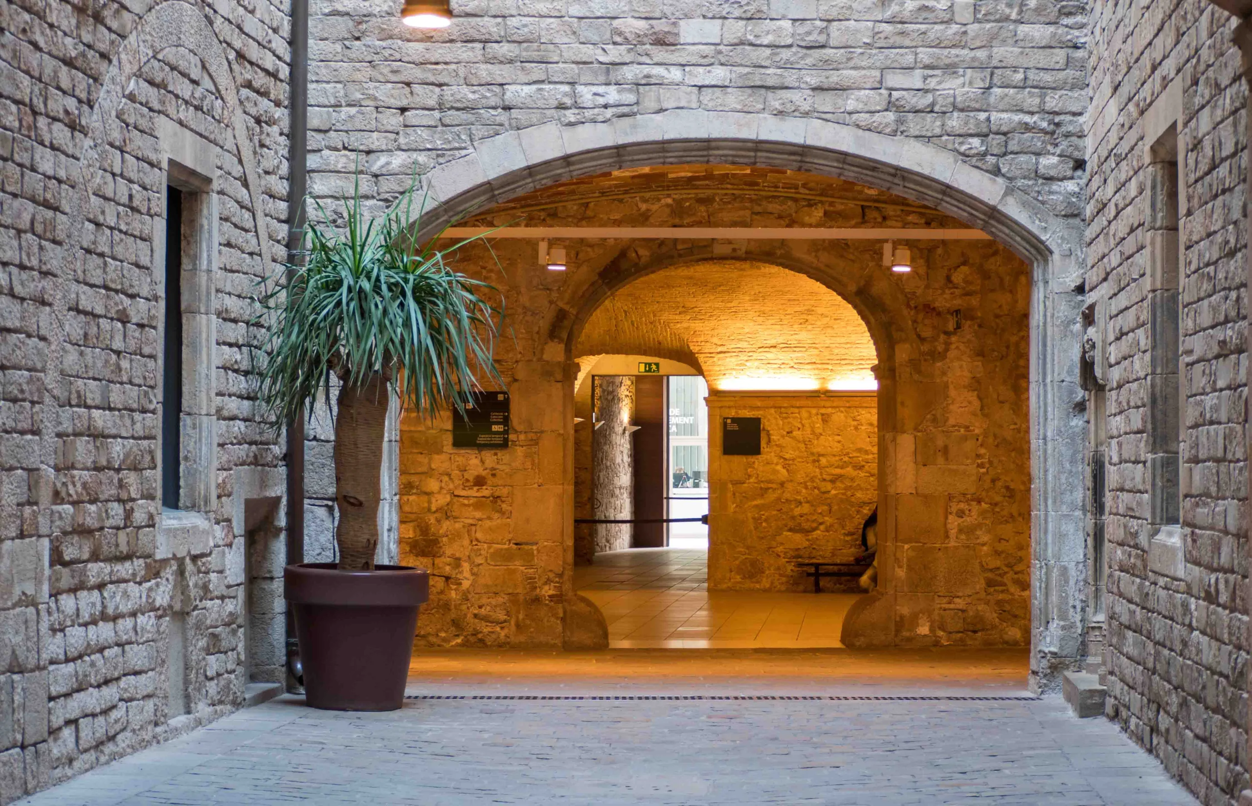 museo picasso barcelona scaled