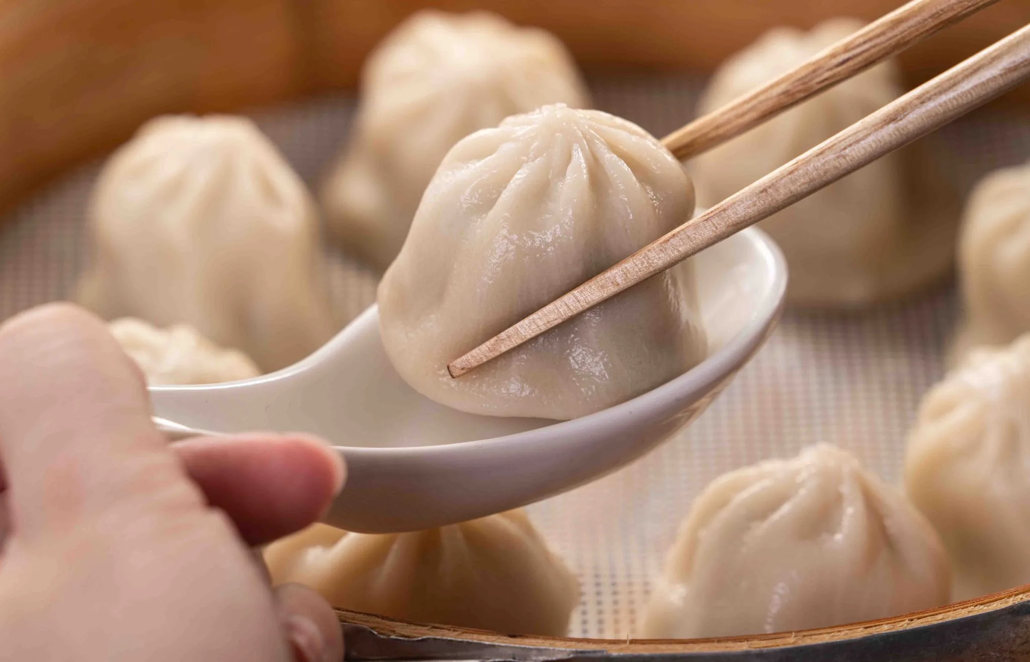 Xiaolongbao guia shanghai