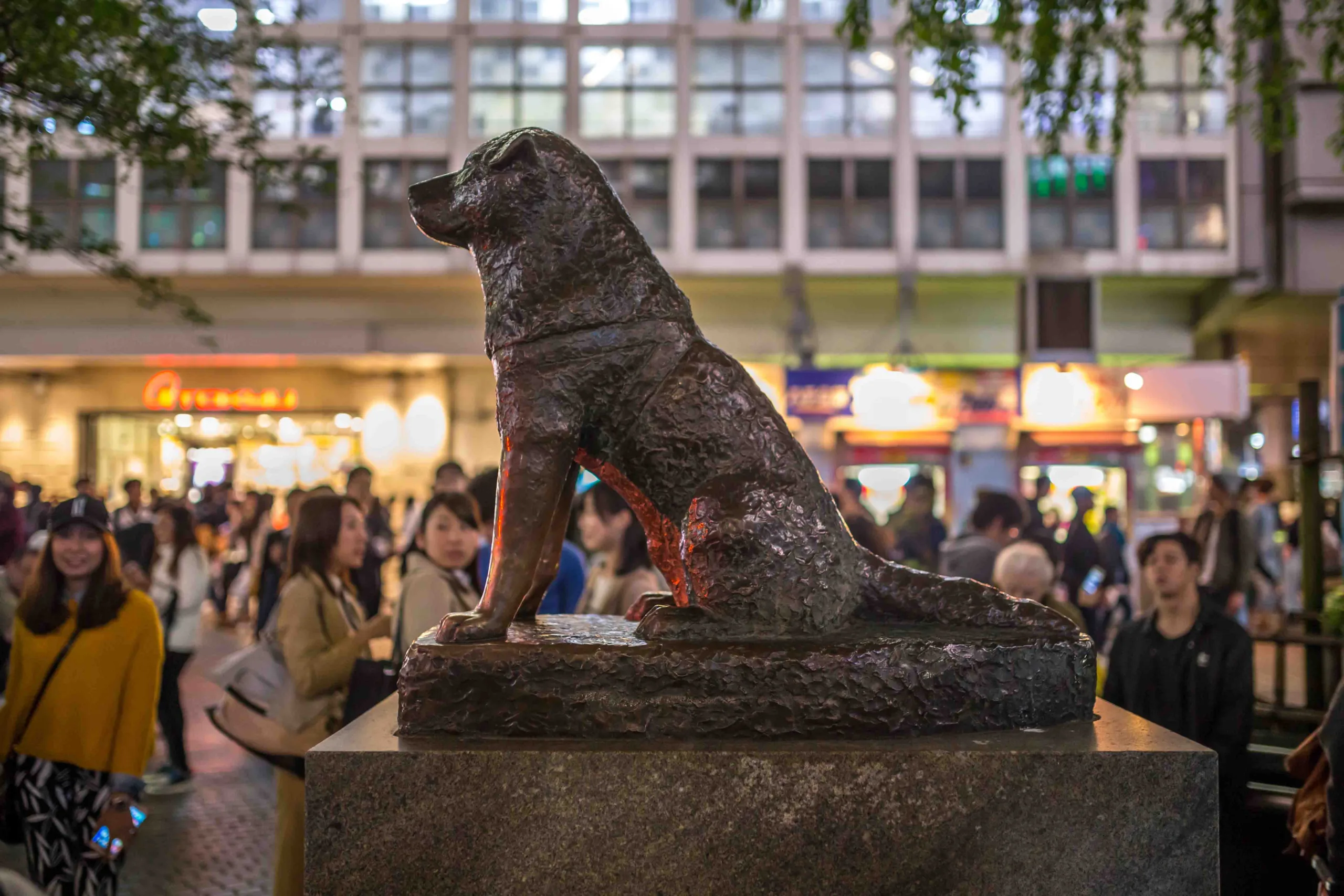 estatua hachiko tokio scaled