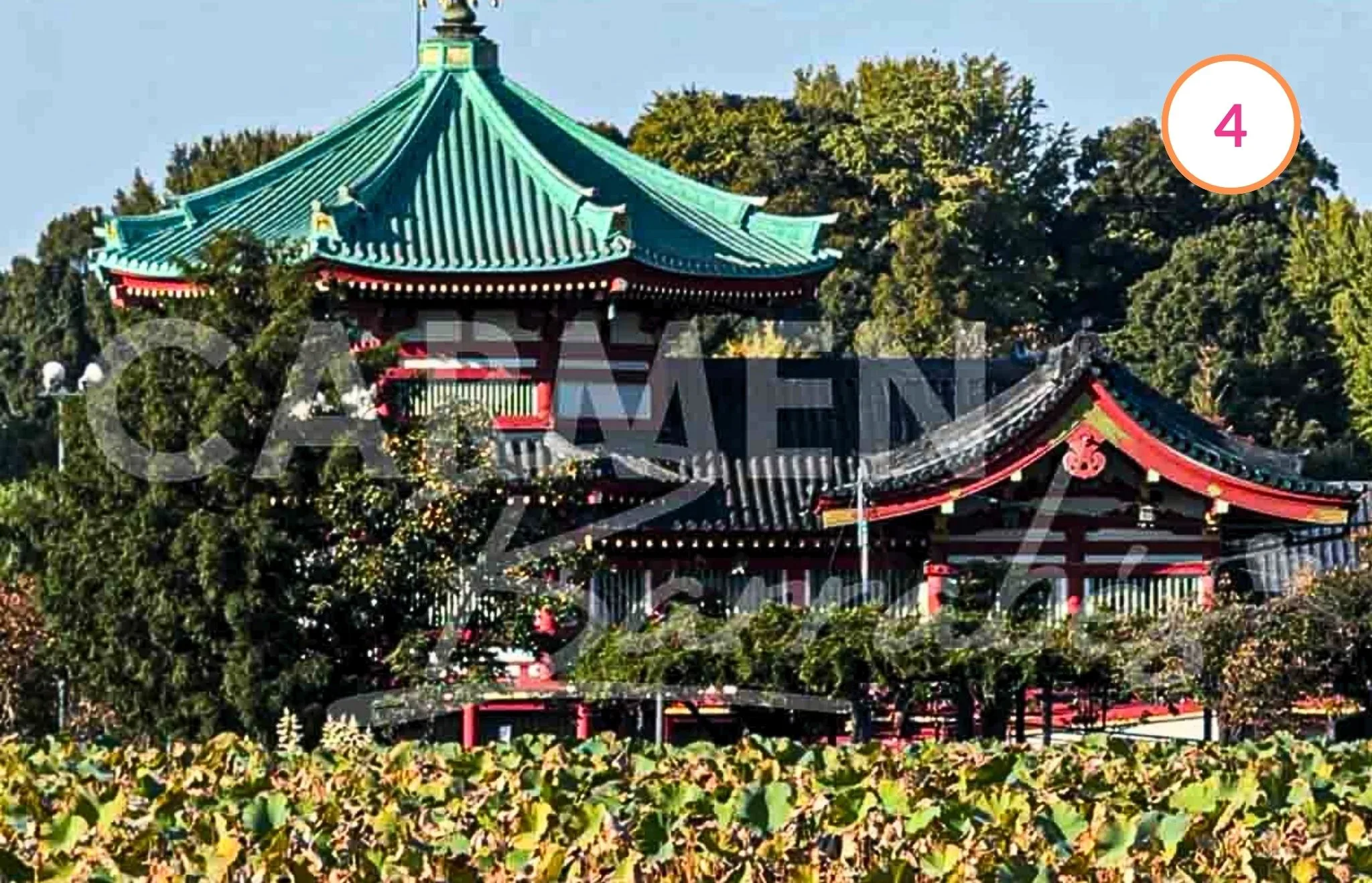 imprescindible Parque Ueno tokio