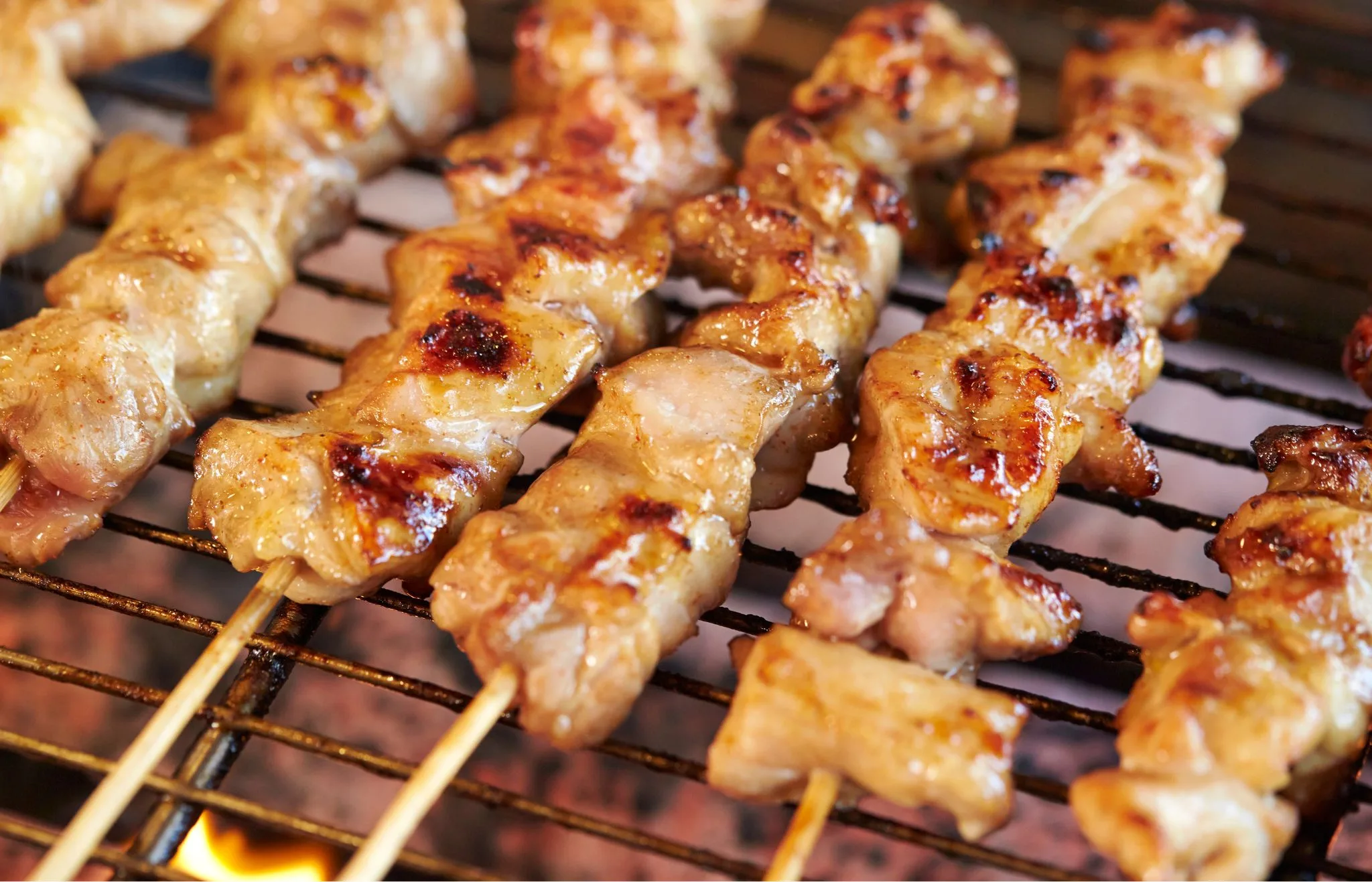 yakitori donde comer en tokio