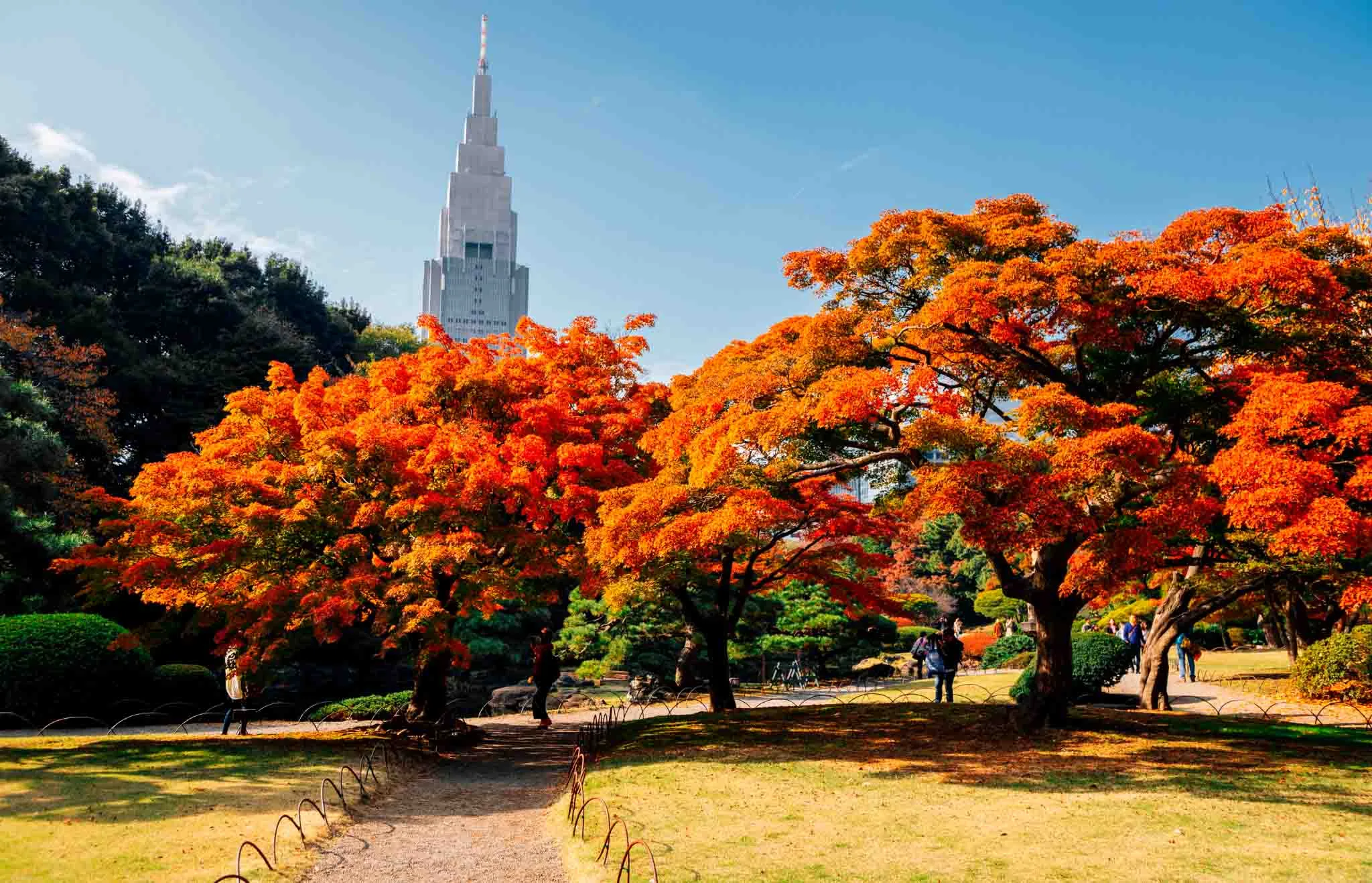 Shinjuku Gyoen tokio en 5 dias