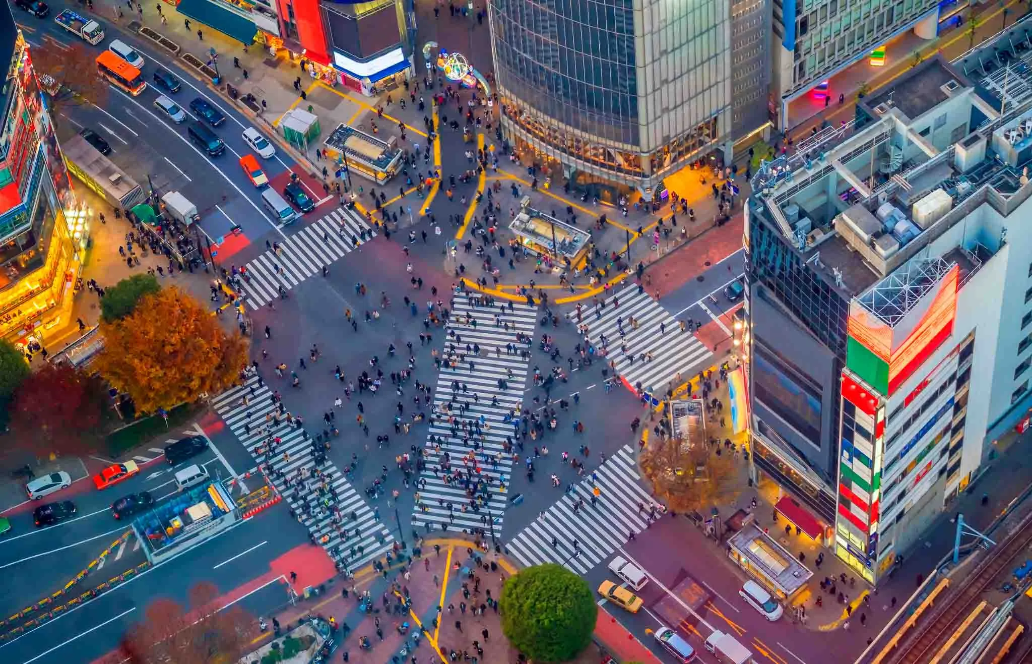 shibuya crossing 5 dias en tokio