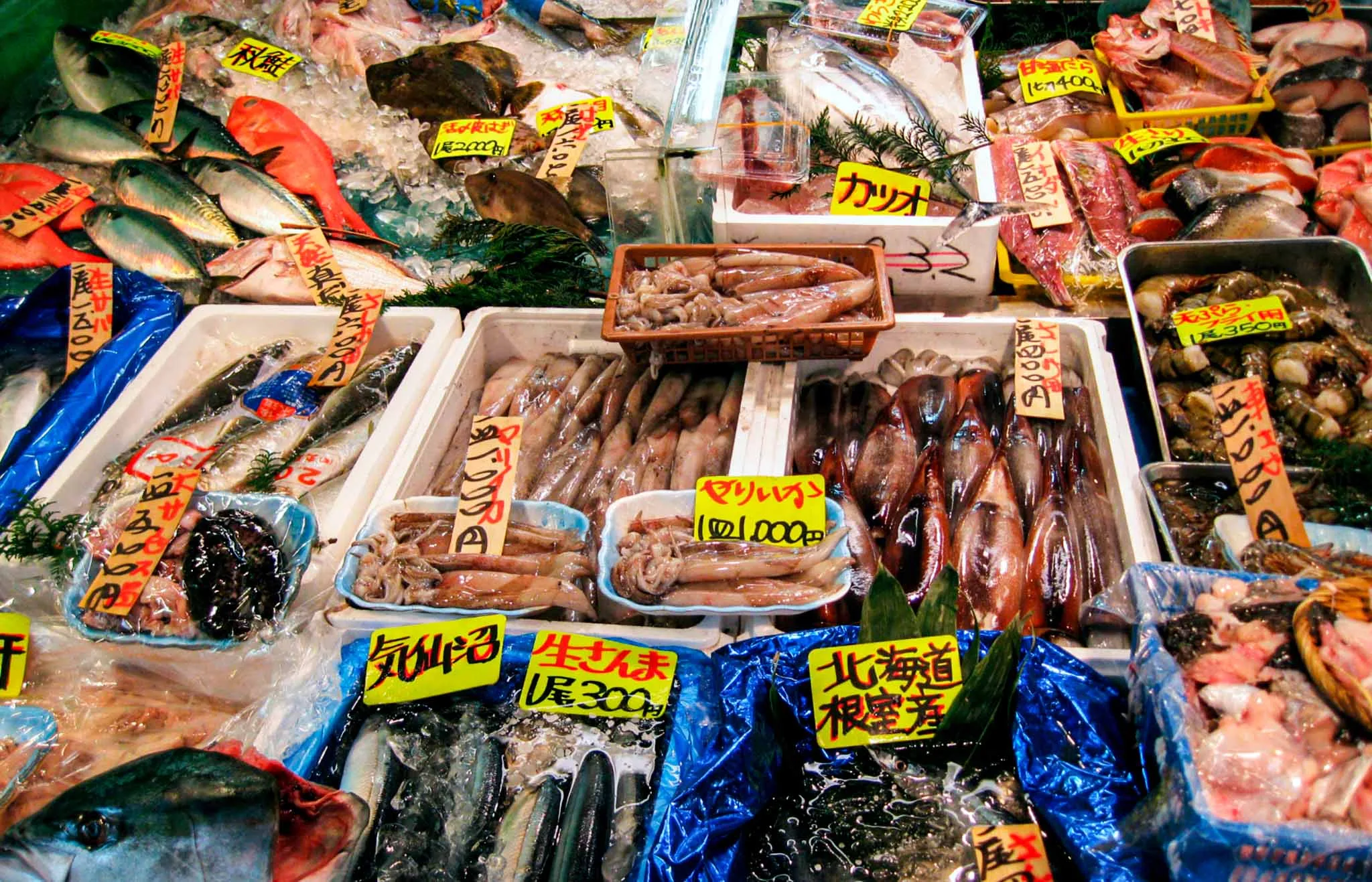 Mercado de Tsukiji tokio en 3 dias