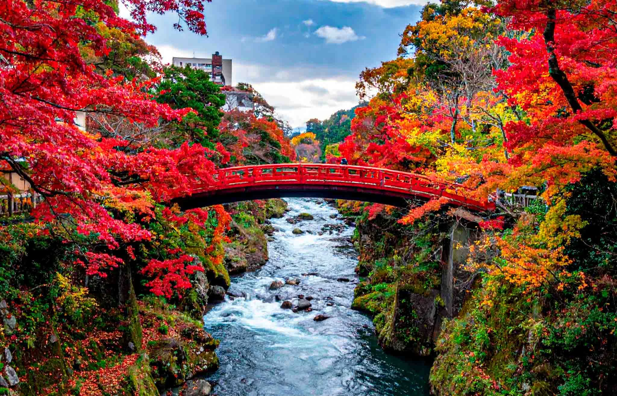 puente Shinkyo nikko 5 dias en tokio