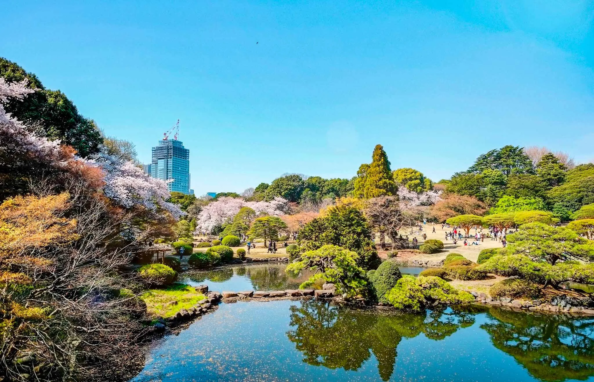 Shinjuku Gyoen tokio en 7 dias