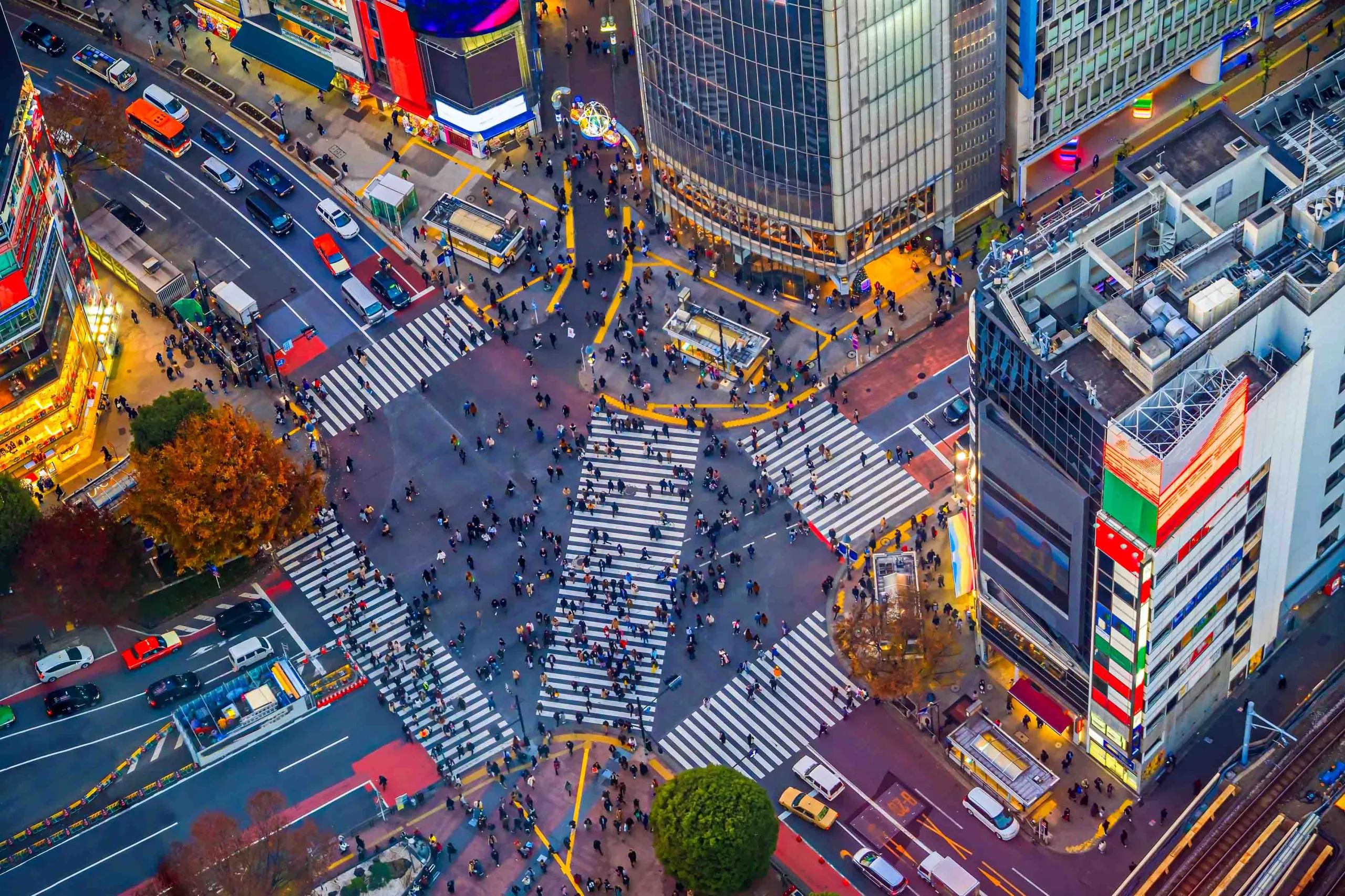 cruce shibuya tokio en 3 dias scaled