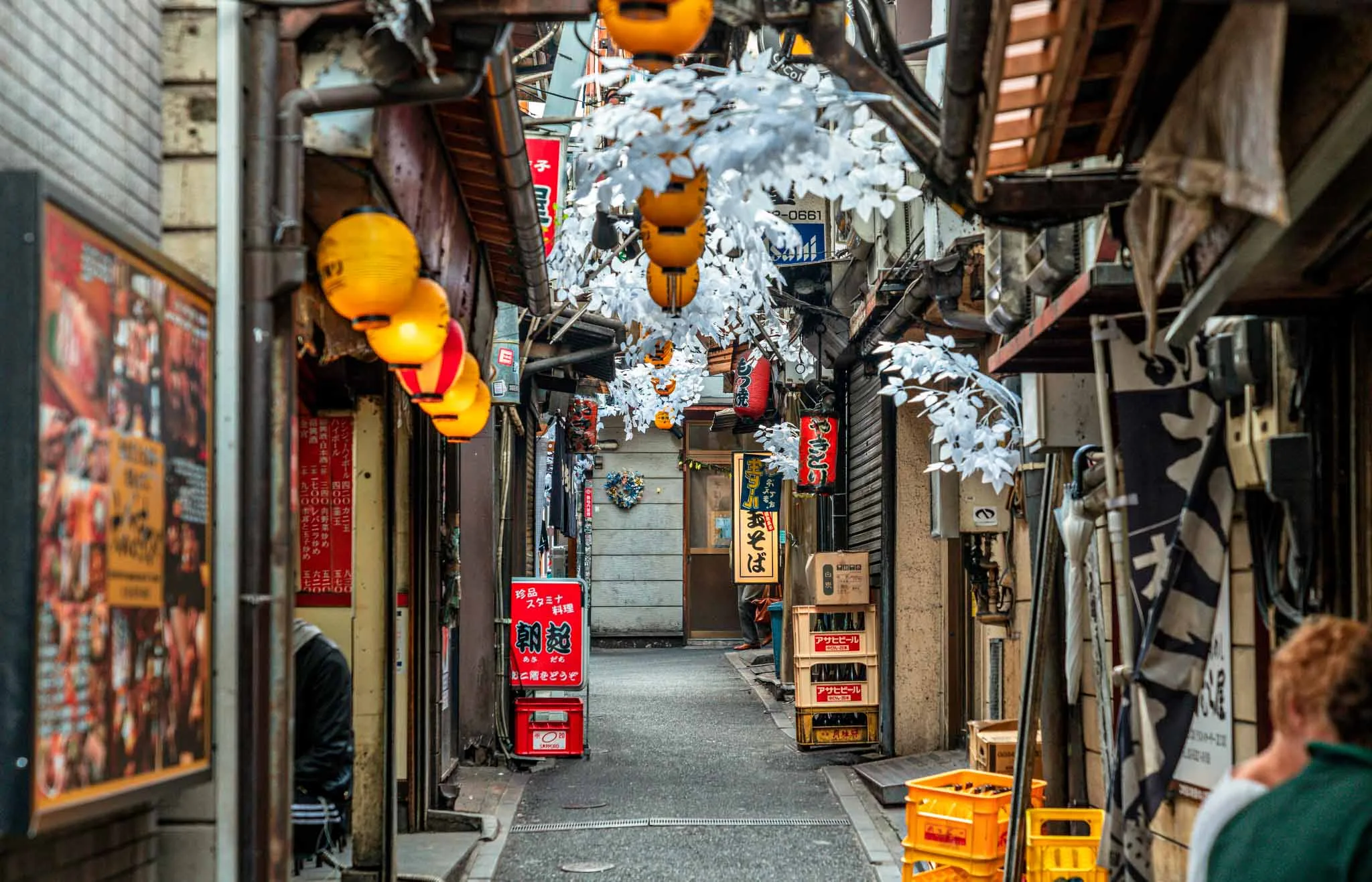 omoide yokocho tokio en 7 dias