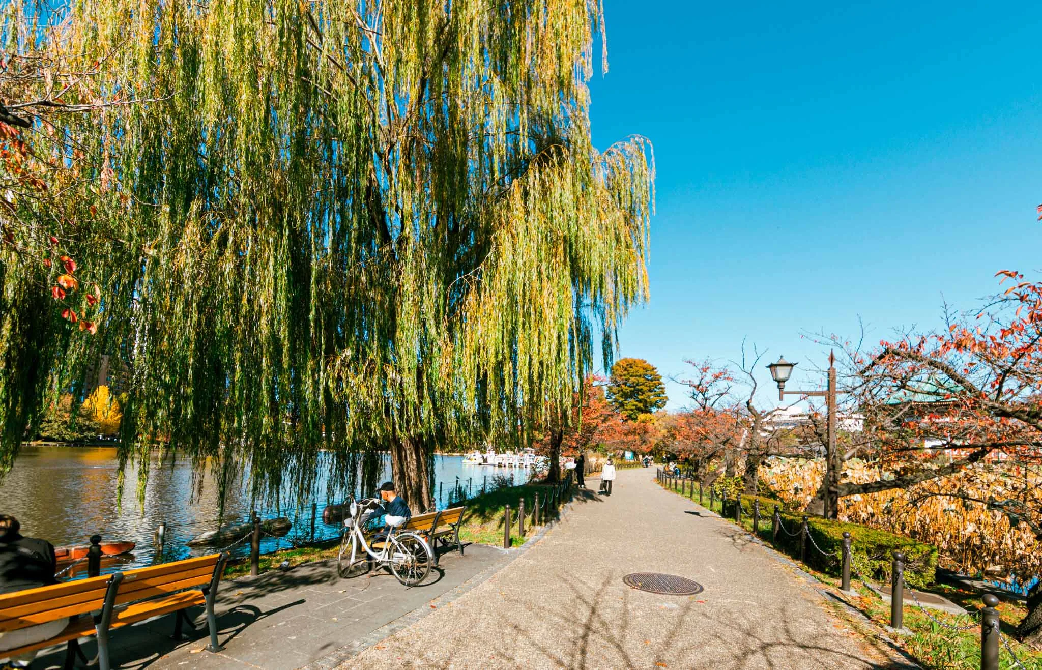 parque ueno tokio en 3 dias
