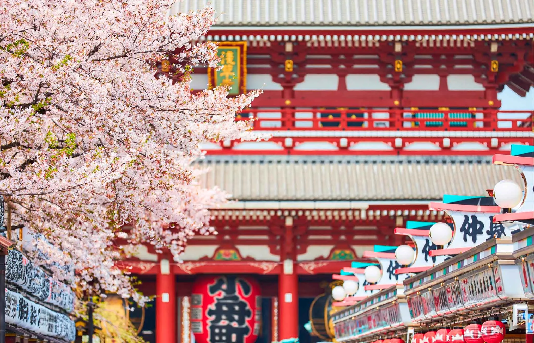 primavera tokio tiempo en tokio