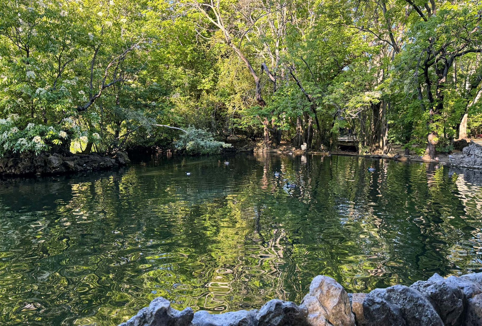 Rincón verde junto al río en Valladolid