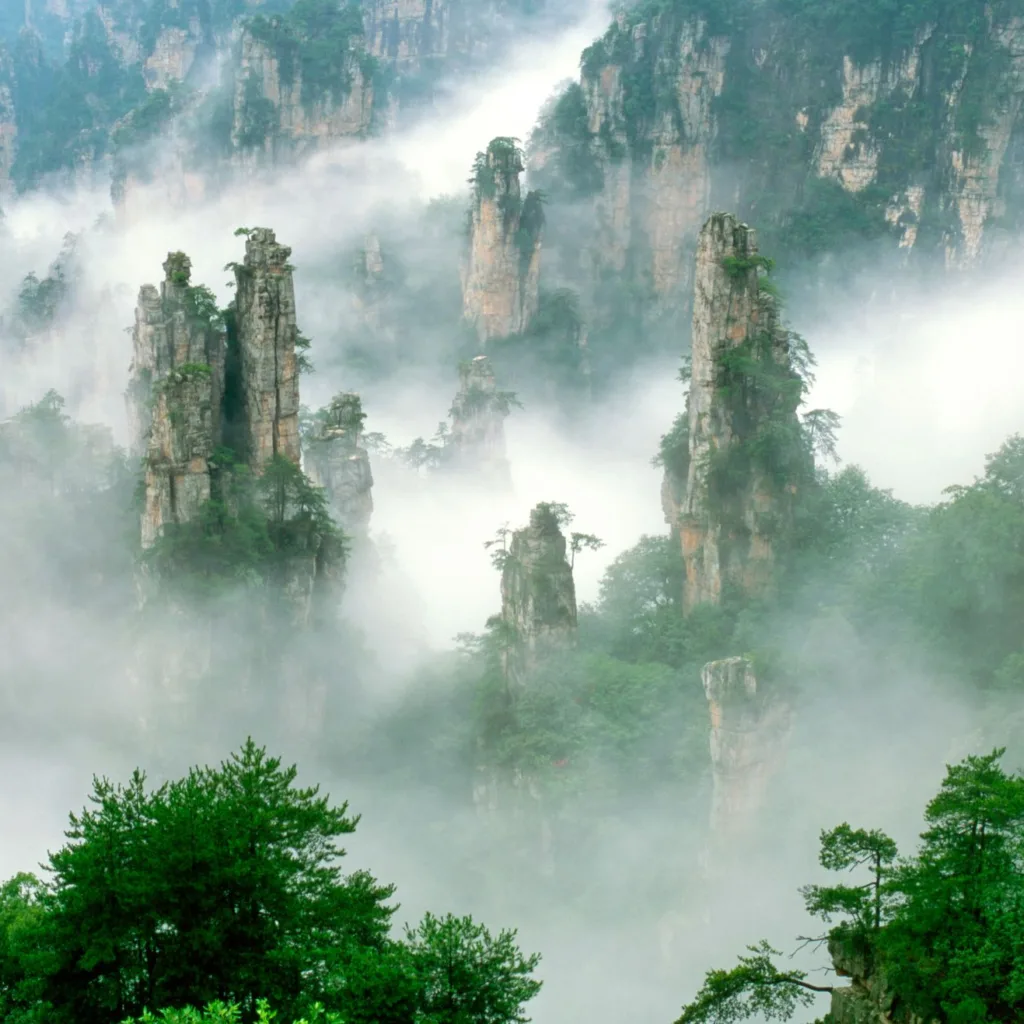 Pilares de piedra de Zhangjiajie entre la niebla