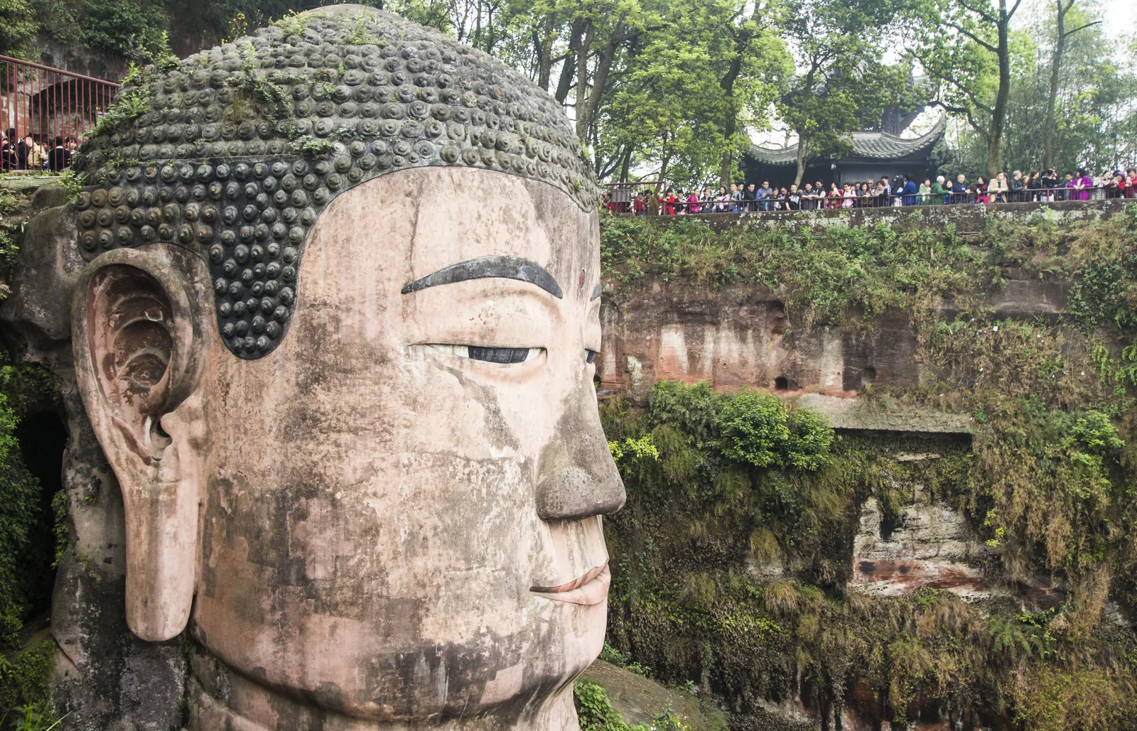 La cabeza del Gran Buda de Leshan junto al mirador de lo alto del acantilado