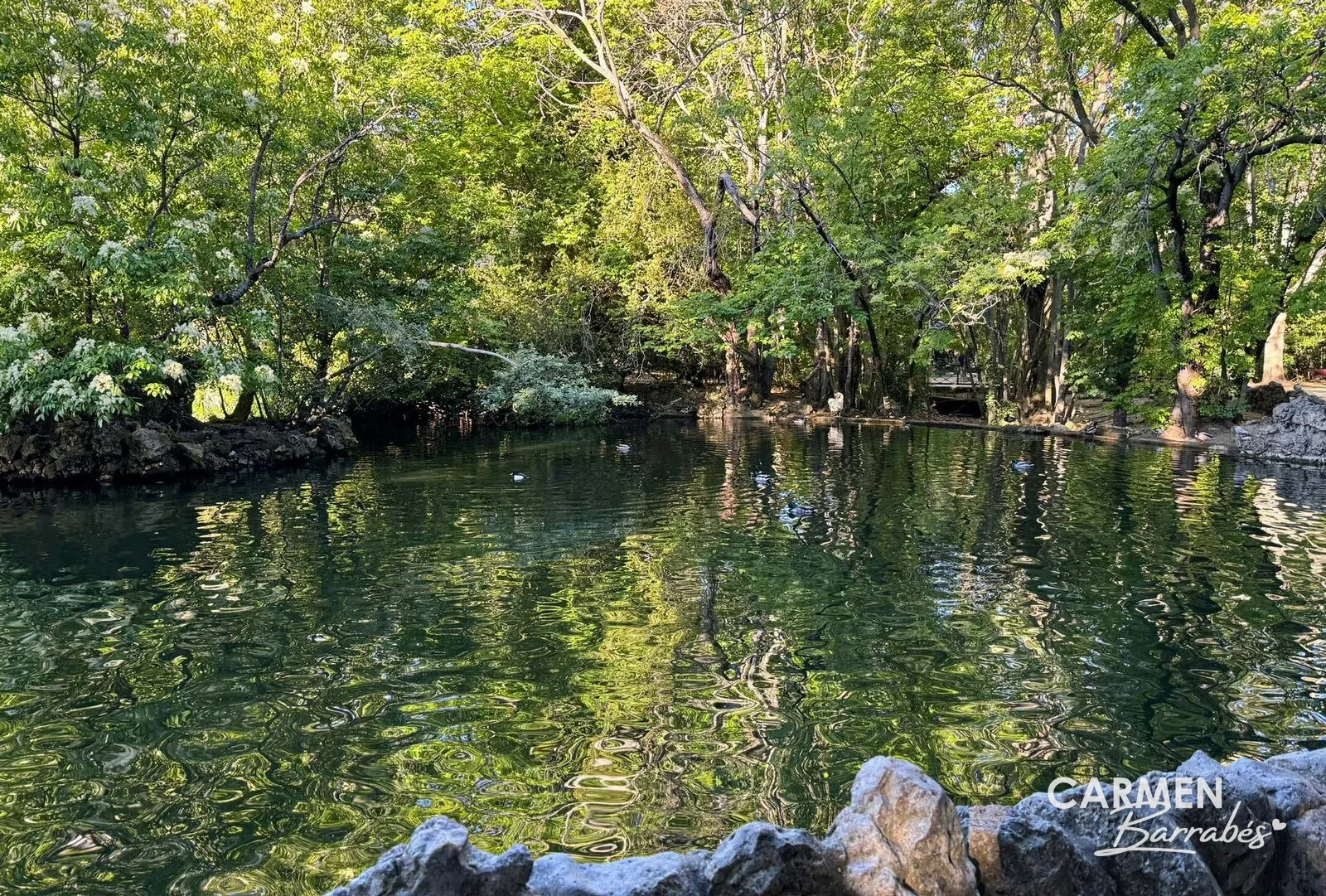 Estanque rodeado de árboles en el parque del Campo Grande de Valladolid