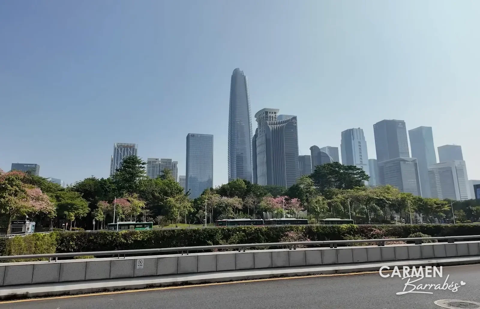 Rascacielos de Futian desde el Central Park