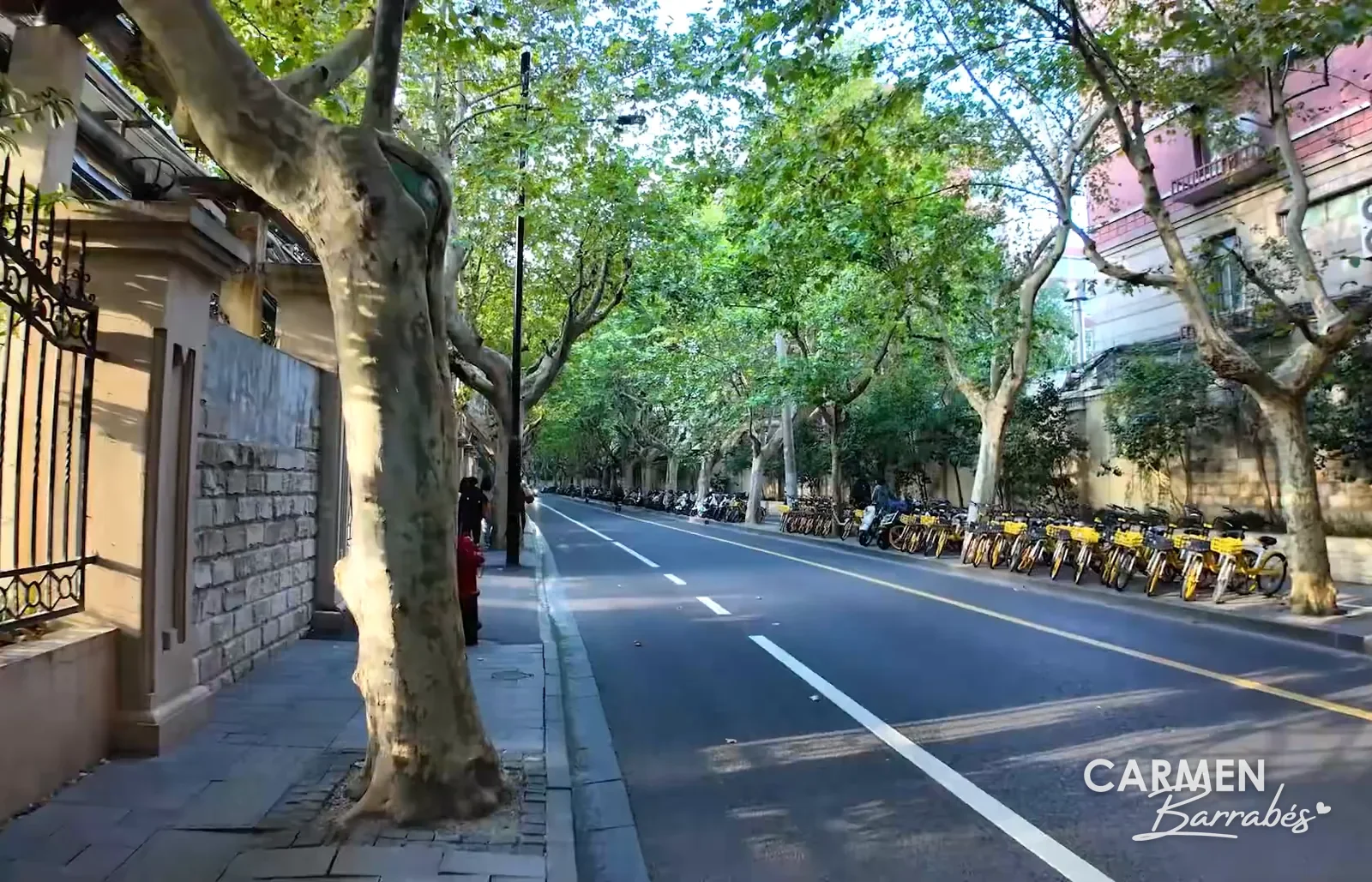 Avenida con plátanos de sombra en la antigua Concesión Francesa de Shanghái