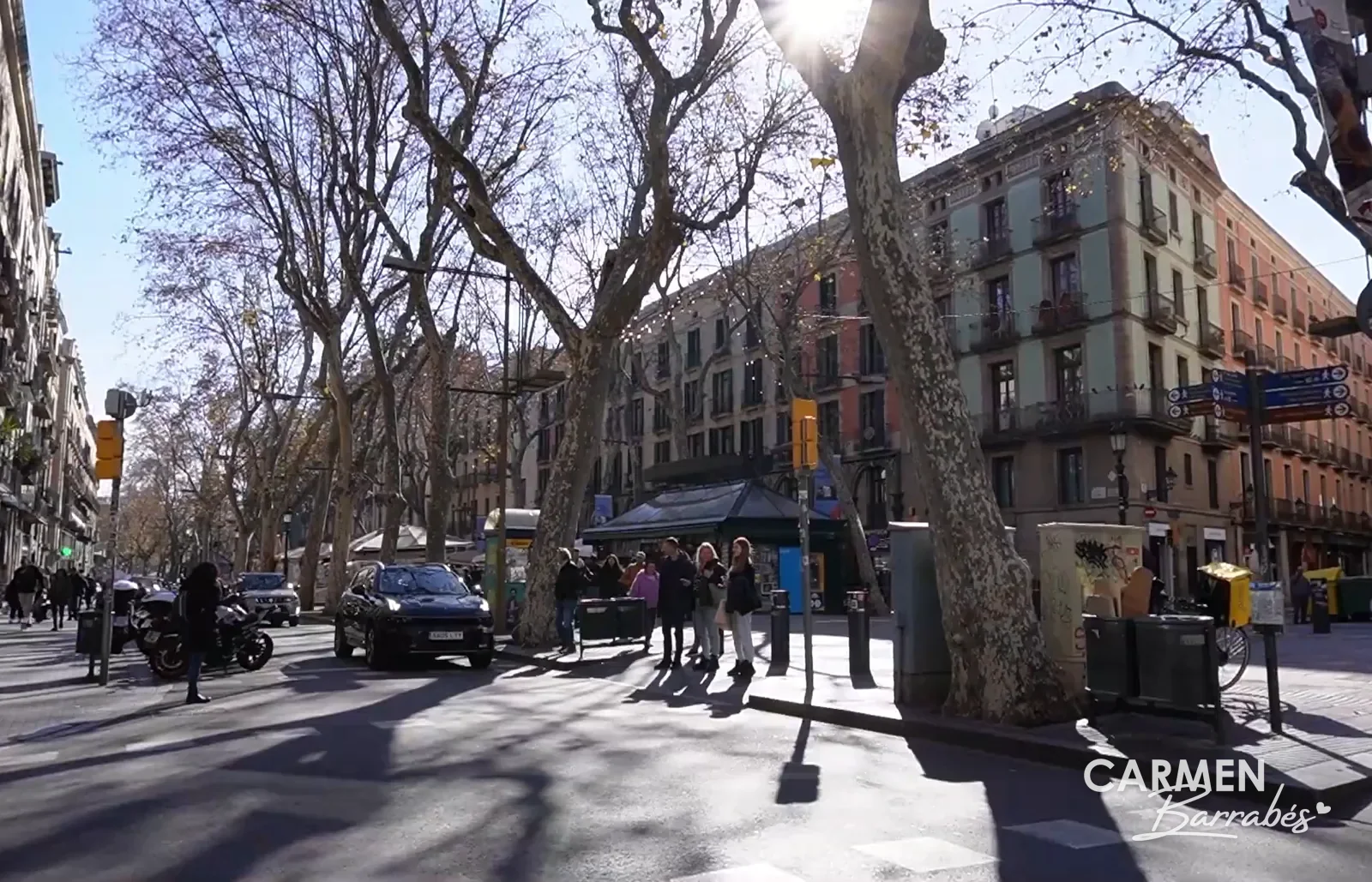 La Rambla de Barcelona con sus plátanos de sombra en invierno